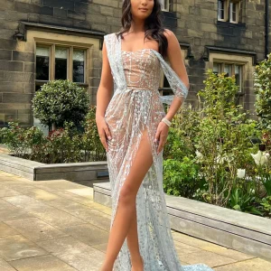 Hot Diamond Nights Glitter Mesh Maxi Dress - Silver Women Dresses