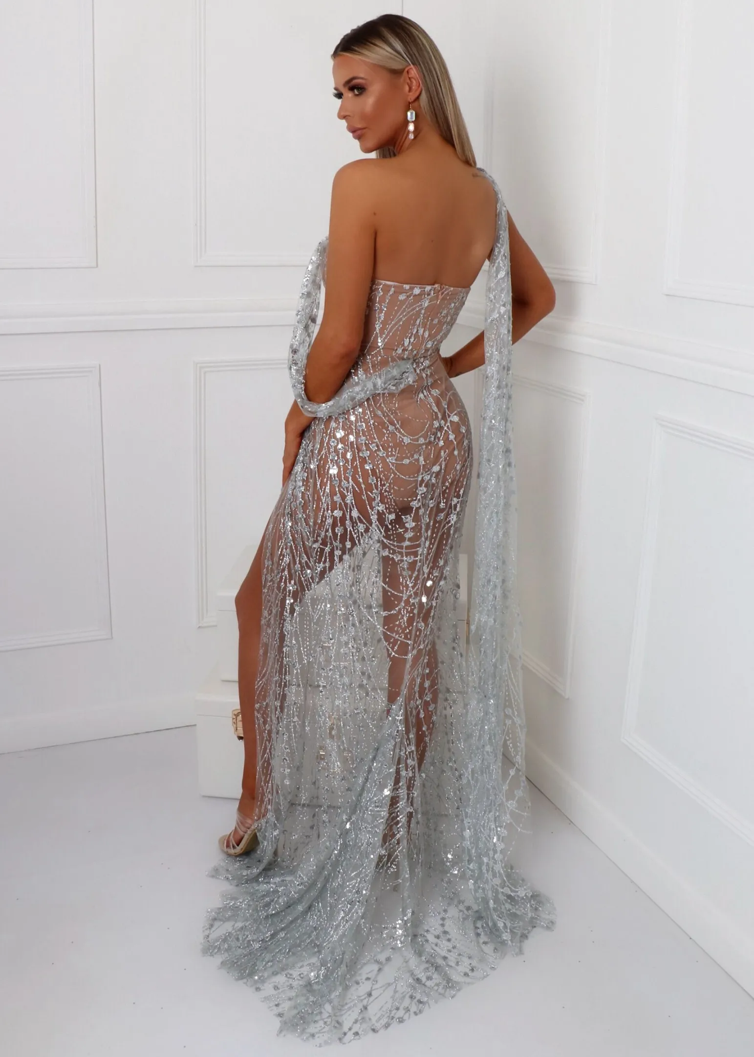 diamond_nights_glitter_mesh_maxi_dress__silver_6.webp Hot Diamond Nights Glitter Mesh Maxi Dress - Silver Women Dresses